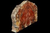 Tall, Arizona Petrified Wood Bookends - Red & Black #111102-2
